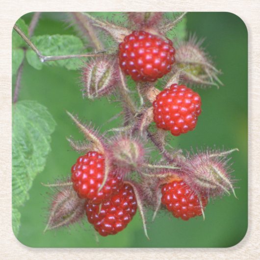 Onderzetter Wild Raspberry Party (Voorkant)