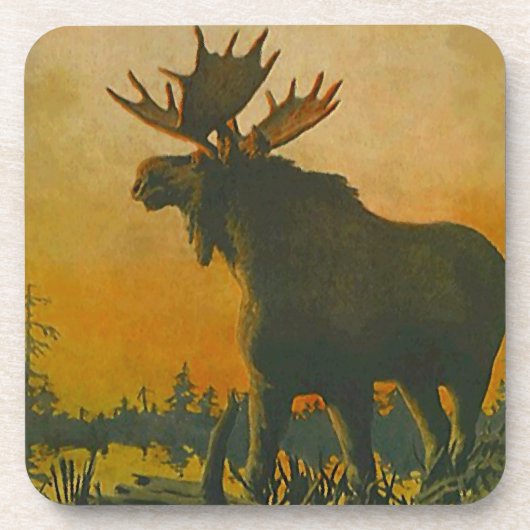 Onderzetter Wildlife Moose Sunset Swamp Donkey Mar (Voorkant)