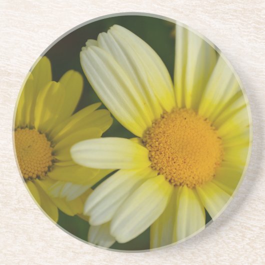 Onderzetter zandsteen drink (Voorkant)