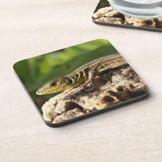 Onderzetters (Linkerzijde)