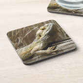 Onderzetters (Linkerzijde)