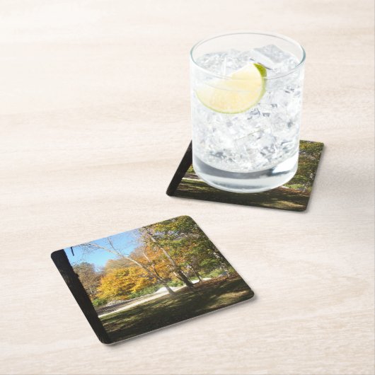 Onderzetters (Insitu)