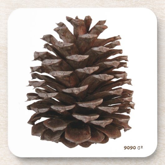 Onderzetters (Voorkant)