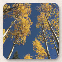 Onderzetters die een voorproefje geven van kleurri