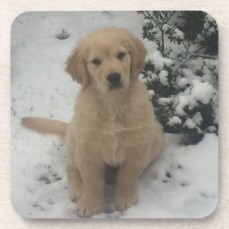 Onderzetters - Festive Golden Retriever Puppy.