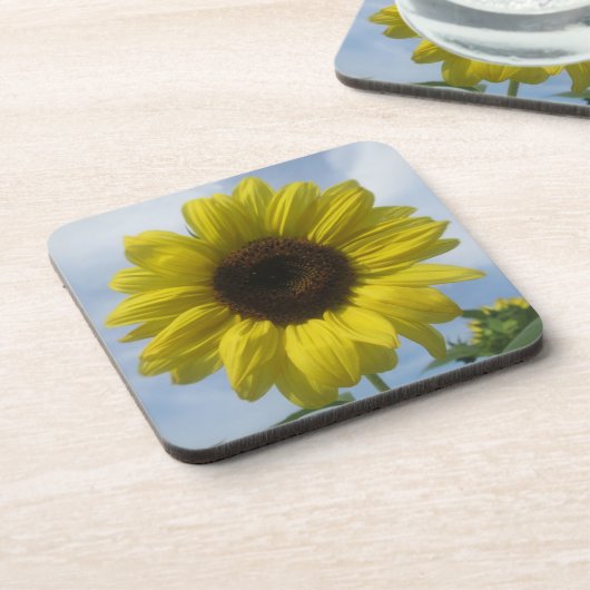 Onderzetters - Harde kunststof - Zonnebloemen (Linkerzijde)