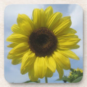 Onderzetters - Harde kunststof - Zonnebloemen (Voorkant)