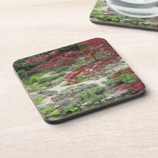 Onderzetters in het najaar van de tuin (Linkerzijde)