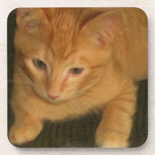 Onderzetters kat - set van 6 (Voorkant)