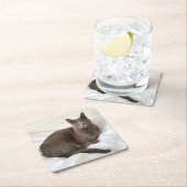 Onderzetters met blauw katje (Insitu)