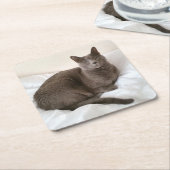 Onderzetters met blauw katje (Schuin)