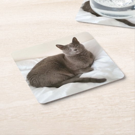 Onderzetters met blauw katje (Schuin)