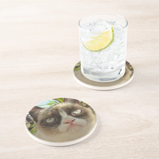 Onderzetters met bruine kat (Zijkant)