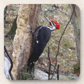 Onderzetters met puntige Woodpecker (Voorkant)