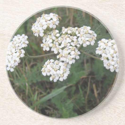 Onderzetters met witte veldbloemen (Voorkant)