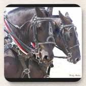 Onderzetters Percheron Team (Voorkant)