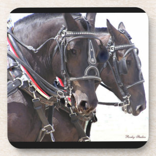 Onderzetters Percheron Team