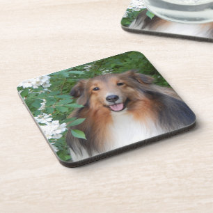 Onderzetters - set van 6 - met Sheltie
