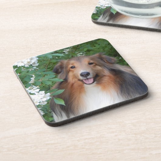 Onderzetters - set van 6 - met Sheltie (Linkerzijde)