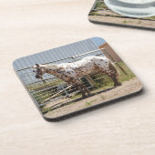 Onderzetters van appaloosa (Linkerzijde)