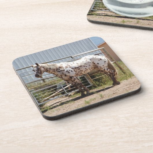Onderzetters van appaloosa (Linkerzijde)