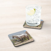 Onderzetters van appaloosa (Rechterzijde)