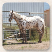 Onderzetters van appaloosa (Voorkant)