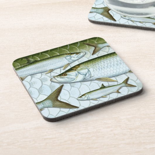 Onderzetters van Atlantische tarpon (Linkerzijde)