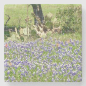 Onderzetters van blauwe haarveennetten en van bran (Voorkant)