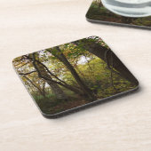 Onderzetters van bossen (Linkerzijde)