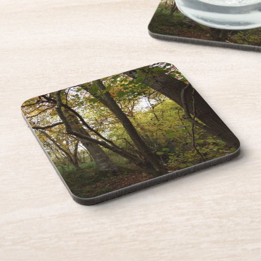 Onderzetters van bossen (Linkerzijde)