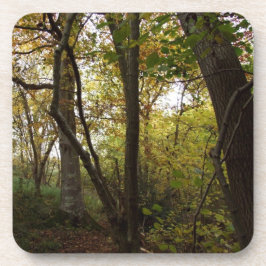 Onderzetters van bossen
