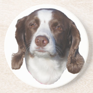 Onderzetters van bruine en witte honden