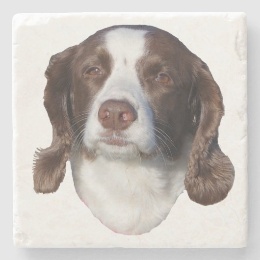 Onderzetters van bruine en witte honden (Voorkant)