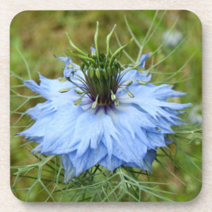 Onderzetters van cornflower, hard kunststof