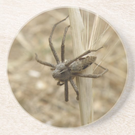Onderzetters van Creepy Crawly Spider (Voorkant)