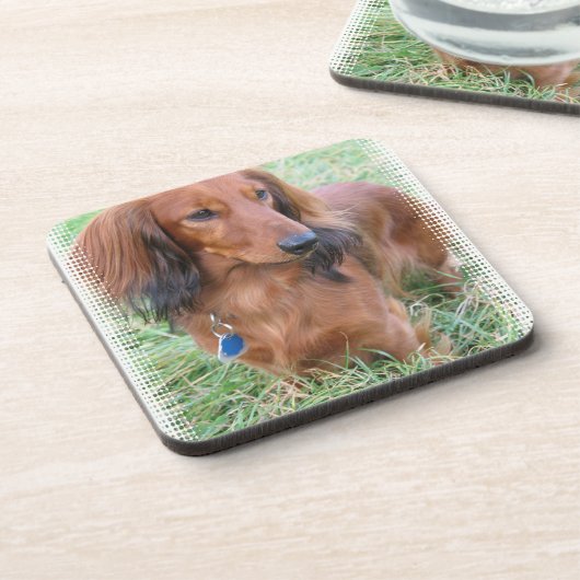 Onderzetters van de Dachshund Cork (Linkerzijde)