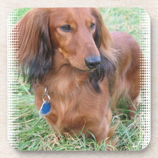 Onderzetters van de Dachshund Cork (Voorkant)