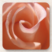 Onderzetters van elk Roos (Voorkant)