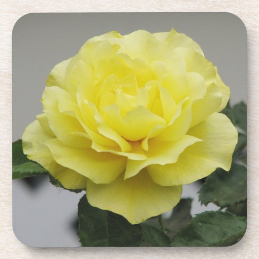 Onderzetters van gele rozen (Voorkant)