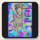 Onderzetters van harde kunststof (Voorkant)