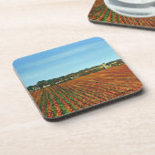 Onderzetters van harde kunststof (Linkerzijde)