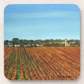 Onderzetters van harde kunststof (Voorkant)