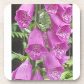 Onderzetters van harde kunststof met kurkrug - set (Voorkant)