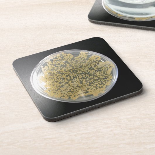 Onderzetters van het bacteriële Bord (Linkerzijde)