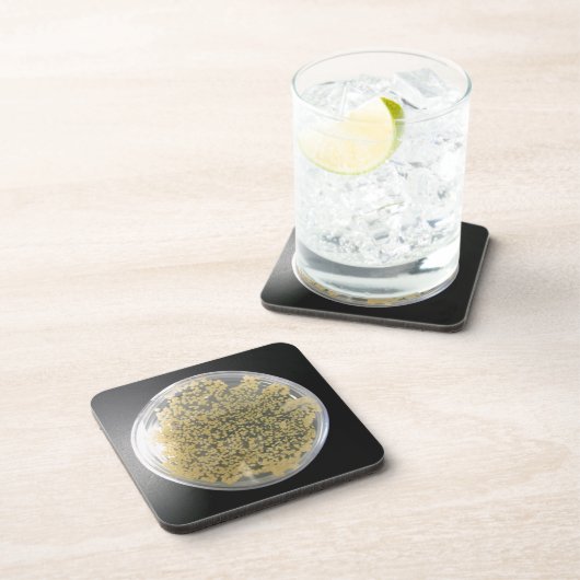 Onderzetters van het bacteriële Bord (Rechterzijde)