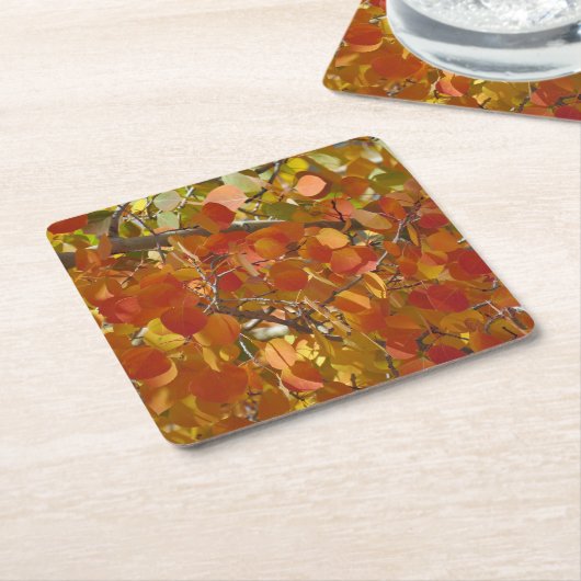 Onderzetters van kogellagers (Schuin)