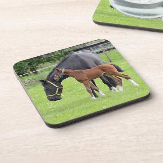 Onderzetters van paarden (Linkerzijde)