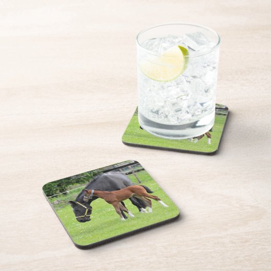 Onderzetters van paarden (Rechterzijde)