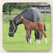 Onderzetters van paarden (Voorkant)